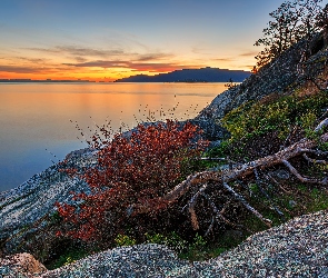 Vancouver, Cieśnina Strait of Georgia, Drzewa, Kanada, Skała, Zachód słońca, Rośliny