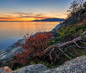 Vancouver, Cieśnina Strait of Georgia, Drzewa, Kanada, Skała, Zachód słońca, Rośliny