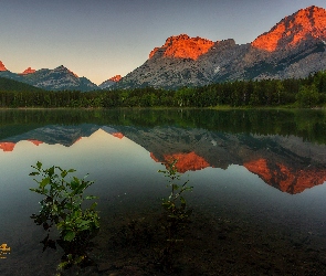 Alberta, Park Kananaskis, Jezioro Wedge Pond, Kanada, Odbicie, Góry Canadian Rockies, Las