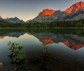 Jezioro Wedge Pond, Góry Canadian Rockies, Kanada, Odbicie, Park Kananaskis, Alberta, Las