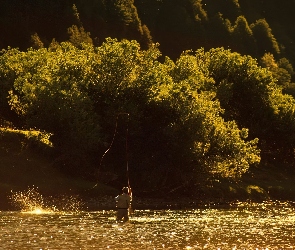 Wędkowanie, Drzewa, Jezioro