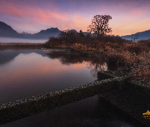 Góry, Mgła, Kanada, Drzewa, Kolumbia Brytyjska, Jezioro Pitt Lake