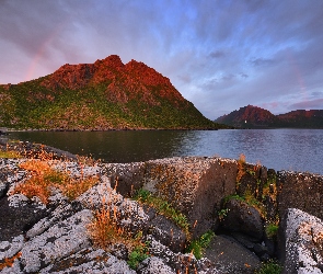 Morze, Skały, Norwegia, Roślinność, Wyspa Senja, Góry