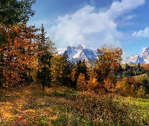 Jesień, Las, Ośnieżone, Góry, Szczyty, Drzewa