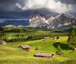 Góry Sassolungo, Dolina Val Gardena, Płaskowyż Seiser Alm, Włochy, Domy, Mgła, Drzewa, Dolomity