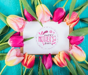 Tulipany, Dzień Matki, Kwiaty