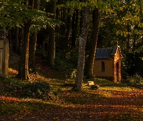 Kaplica, Ławeczka, Las, Drzewa