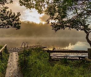 Jezioro, Drzewa, Pomost, Mgła