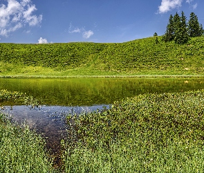 Wzgórze, Drzewa, Jezioro, Trawa