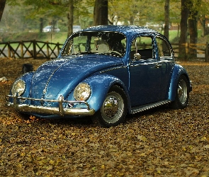 Garbus, Park, Volkswagen Beetle