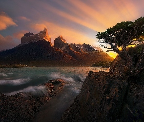 Rzeka, Góry Cordillera del Paine, Park Narodowy Torres Del Paine, Chile, Drzewo, Skała, Patagonia, Masyw Torres del Paine