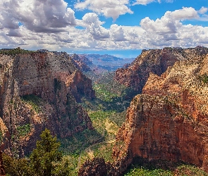 Rośliny, Kanion, Góry, Stany Zjednoczone, Wąwóz, Park Narodowy Zion, Stan Utah, Zion Canyon