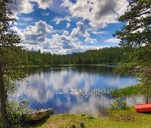 Łódki, Drzewa, Jezioro, Las