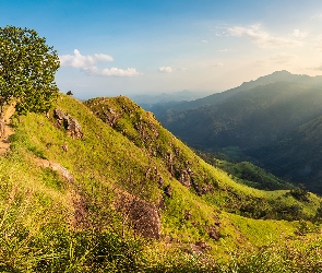 Góry, Trawa, Drzewa, Dolina