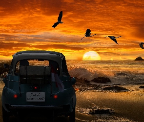Zachód słońca, Ptaki, Morze, Plaża, Podróż poślubna, Samochód, 2D, Nowożeńcy