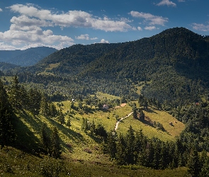 Góry, Droga, Drzewa, Dolina