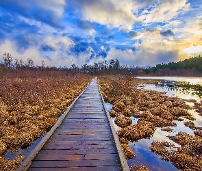 Pomost, Jezioro One Mile Lake, Kanada, Traw, Pemberton, Kolumbia Brytyjska, Kępki