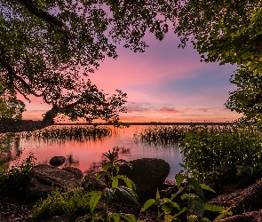 Jezioro, Drzewa, Zachód słońca, Trawy, Roślinność, Kamienie