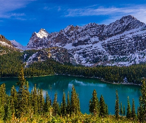 Góry, Las, Kanada, Park Narodowy Yoho, Prowincja Kolumbia Brytyjska, Jezioro O Hara