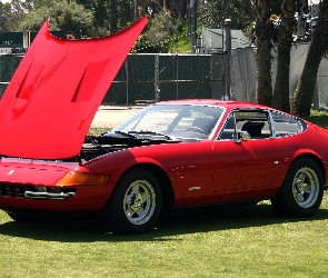 Otwarta, Maska, Ferrari Daytona