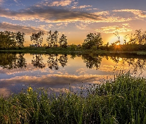 Staw, Drzewa, Odbicie, Wschód słońca, Chmury, Trawy