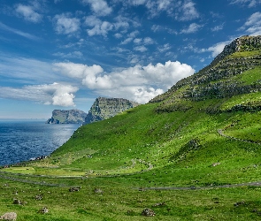 Wyspy Owcze, Wyspa Kalsoy, Góry, Dania, Kamienie, Morze Norweskie, Łąka