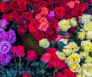 Bukiety, Róże, Kwiaty, Różnokolorowe