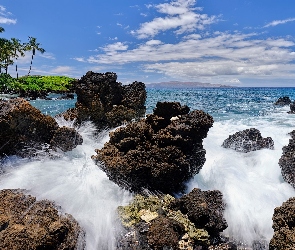 Wyspa Maui, Hawaje, Chmury, Fale, Skały, Palmy, Morze