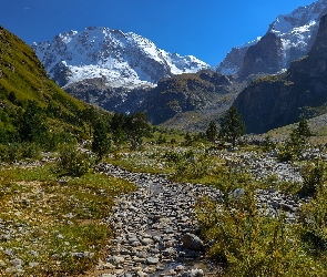 Góry, Dolina, Krzewy, Kamienie, Drzewa, Potok