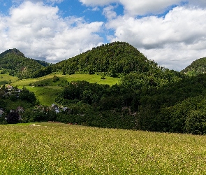 Lasy, Domy, Góry, Trawa, Kanton Bazylea-Landschaft, Łąka, Szwajcaria, Chmury