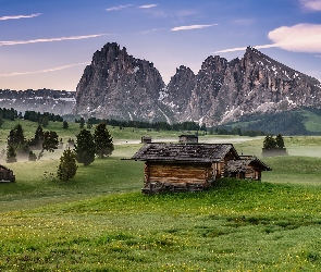 Domy, Drzewa, Góry, Mgła, Trawa, Włochy, Masyw Langkofel Group, Kwiaty, Drewniane, Sassolungo, Dolomity