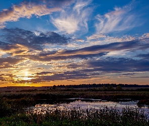 Jezioro, Chmury, Wschód słońca, Trawy