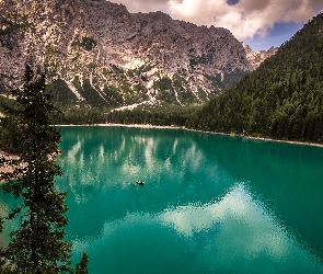 Jezioro Pragser Wildsee, Drzewa, Dolomity, Góry, Włochy, Łódka, Świerki, Południowy Tyrol, Lago di Braies
