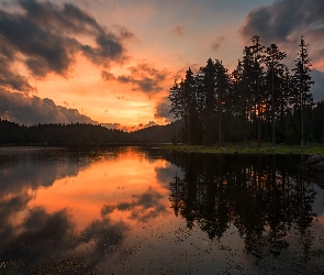 Jezioro, Chmury, Las, Zachód słońca, Drzewa