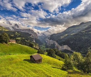 Góry, Kanton Berno, Chmury, Szwajcaria, Wengen, Domy, Alpy Berneńskie, Las, Dolina Lauterbrunnental