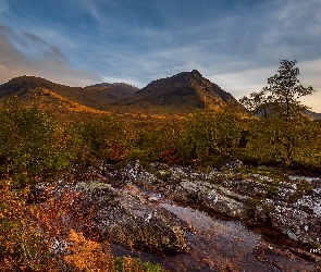 Krzewy, Drzewa, Skały, Jesień, Góry, Strumień