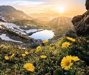 Góry, Jezioro, Kwiaty, Skały, Żółte, Promienie słońca