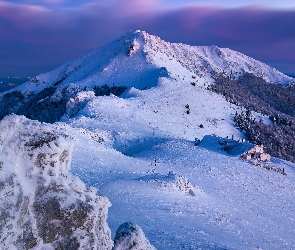 Zima, Śnieg, Lasy, Dom, Drzewa, Góry