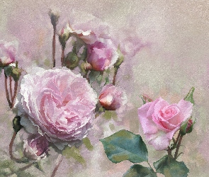Alberto Guillen, Grafika, Różowe, Rozwinięte, Róże, Pąki
