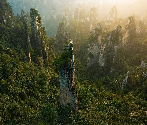 Las, Chiny, Zhangjiajie National Forest Park, Hunan, Skały
