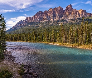 Góry, Rzeka, Park Narodowy Banff, Las, Prowincja Alberta, Drzewa, Kanada, Bow River