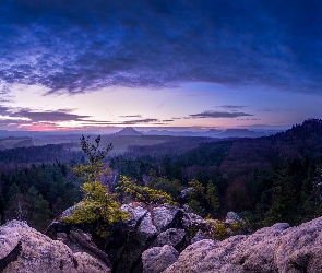 Wschód Słońca, Park Narodowy Saskiej Szwajcarii, Niemcy, Drzewo, Góry Połabskie, Sosna, Skały