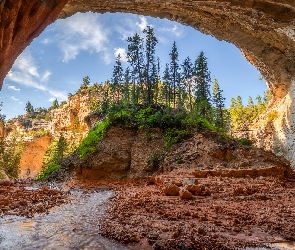 Stany Zjednoczone, Stan Utah, Drzewa, Skały, Rzeka, Kanab