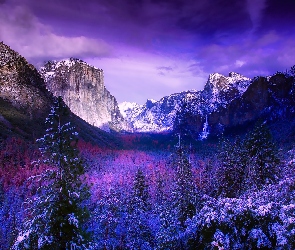 Dolina Yosemite Valley, Chmury, Park Narodowy Yosemite, Zima, Stany Zjednoczone, Las, Świerki, Stan Kalifornia, Góry