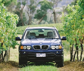 Bmw X5, Przód