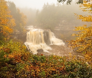 Rzeka, Jesień, Roslinność, Mgła, Drzewa, Skały, Wodospad