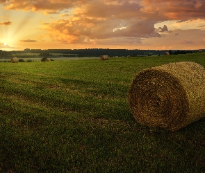 Siano, Bele, Zachód słońca, Pole