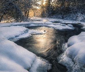 Zima, Las, Śnieg, Rzeka