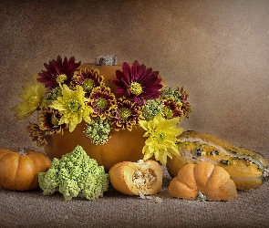 Chryzantemy, Romanesco, Kalafior zielony, Dynie, Kwiaty
