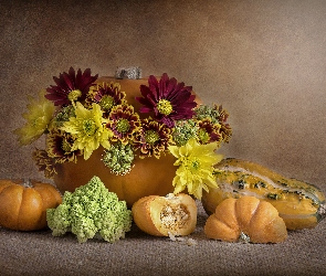 Kwiaty, Romanesco, Dynie, Kalafior zielony, Chryzantemy